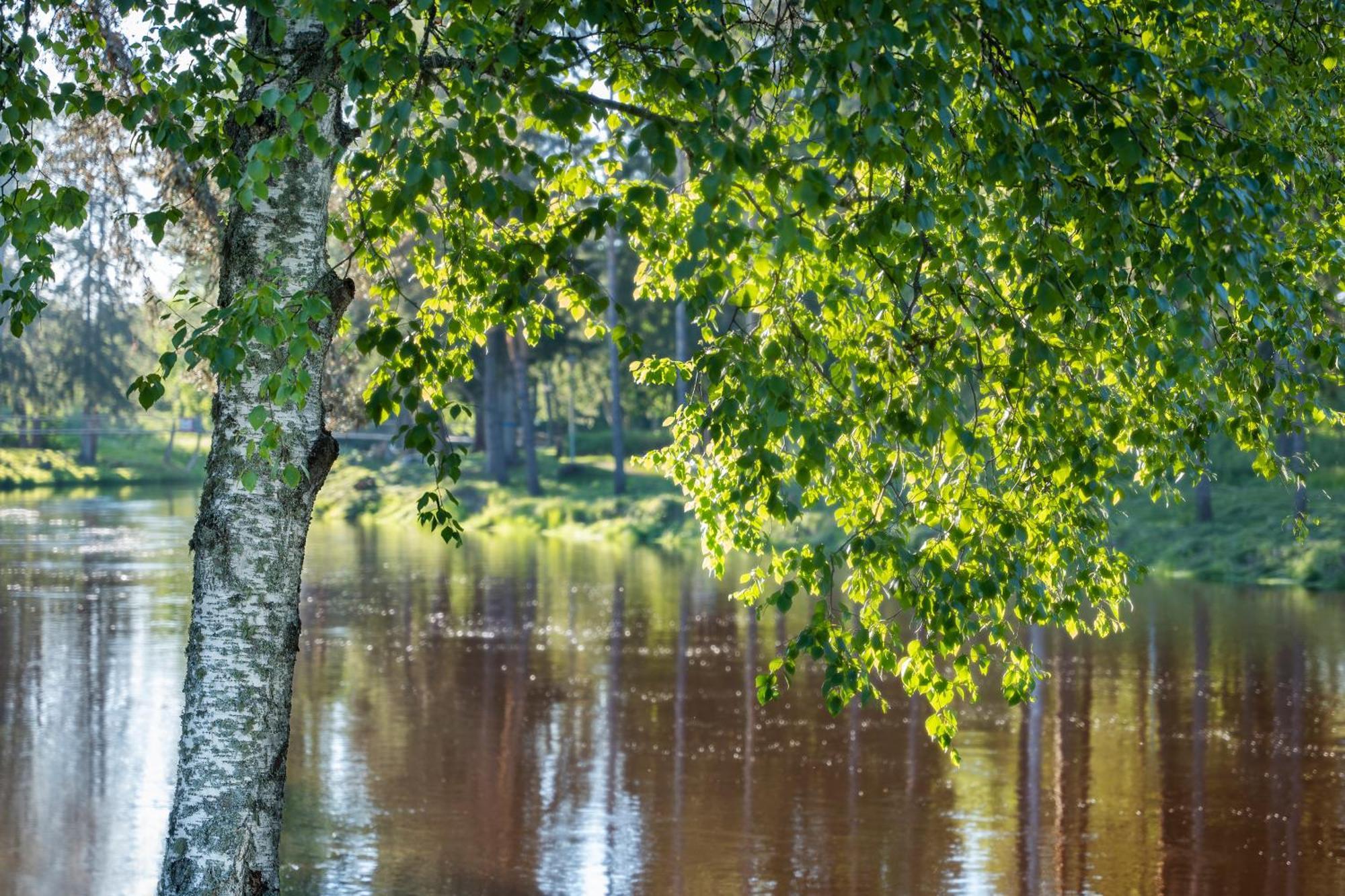 Spa Hotel Runni Iisalmi Eksteriør billede